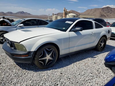 1ZVFT80NX55****** 2005 Ford Mustang
