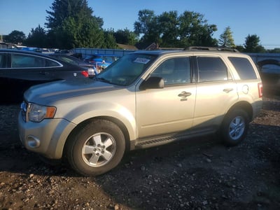 2010 Ford Escape