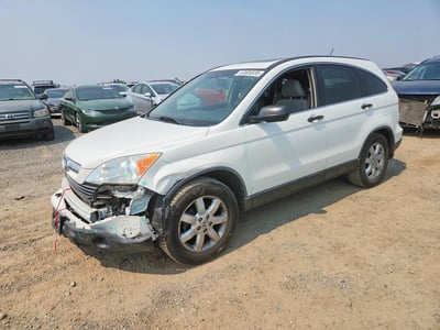 JHLRE48547C****** 2007 Honda CR-V