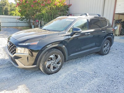 5NMS24AJ7PH****** 2023 Hyundai Santa Fe