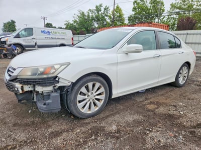 1HGCR2F77FA****** 2015 Honda Accord