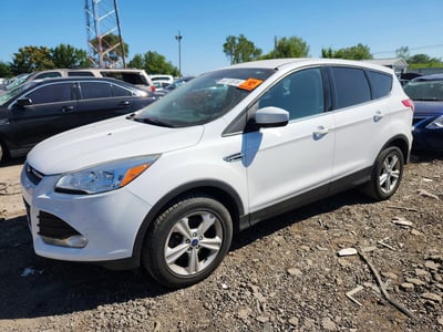 1FMCU9G92EU****** 2014 Ford Escape