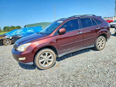 JTJGK31U290****** 2009 Lexus RX