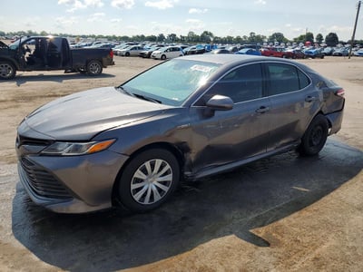4T1B31HK9KU****** 2019 Toyota Camry Hybrid