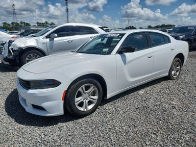 2C3CDXBG6PH****** 2023 Dodge Charger