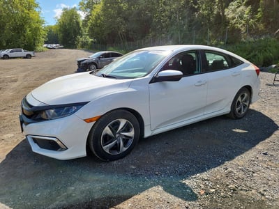2HGFC2F67KH****** 2019 Honda Civic