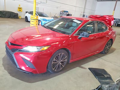 4T1B11HK4KU****** 2019 Toyota Camry