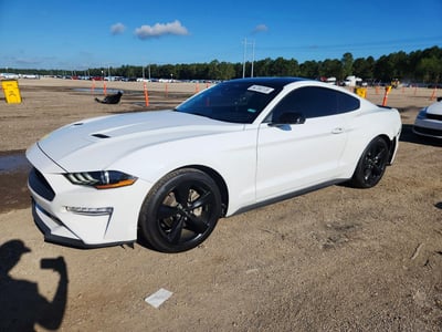 1FA6P8TH2P5****** 2023 Ford Mustang