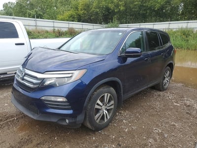 5FNYF6H58GB****** 2016 Honda Pilot