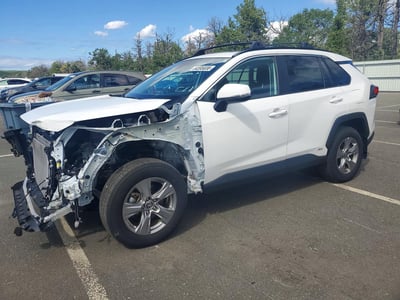 2T3RWRFV7RW****** 2024 Toyota RAV4 Hybrid