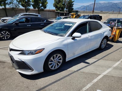 4T1C11AKXMU****** 2021 Toyota Camry