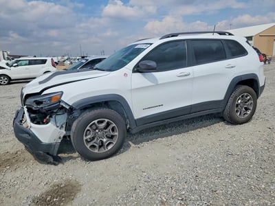 1C4PJMBX3LD****** 2020 Jeep Cherokee