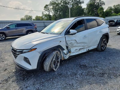 5NMJF3DE0RH****** 2024 Hyundai Tucson