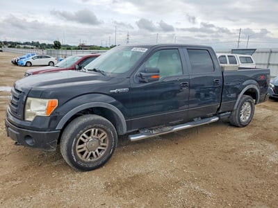 2009 Ford F-150