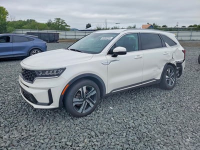 KNDRHDLG1P5****** 2023 Kia Sorento Hybrid