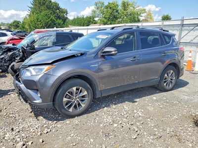JTMRJREV9HD****** 2017 Toyota RAV4