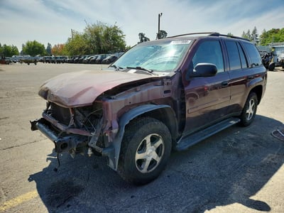 1GNDT13S762****** 2006 Chevrolet Trailblazer