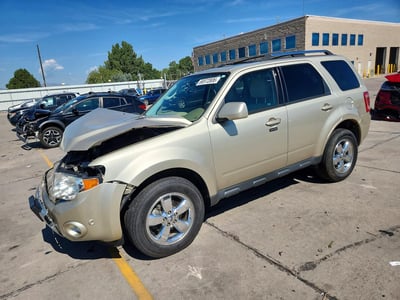 1FMCU9EG6AK****** 2010 Ford Escape