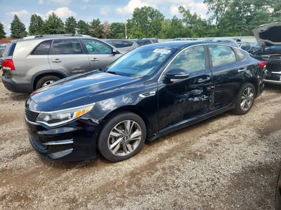 5XXGT4L31GG****** 2016 Kia Optima