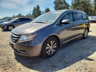5FNRL5H63FB****** 2015 Honda Odyssey