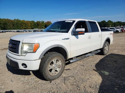 1FTFW1EV3AF****** 2010 Ford F-150