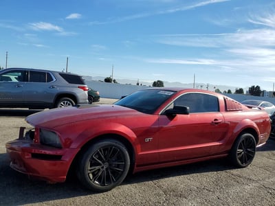 1ZVFT82H165****** 2006 Ford Mustang