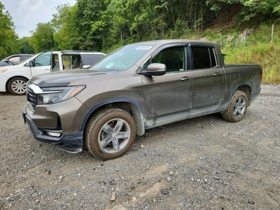 5FPYK3F59PB****** 2023 Honda Ridgeline