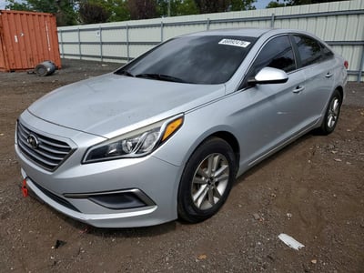5NPE24AF8GH****** 2016 Hyundai Sonata