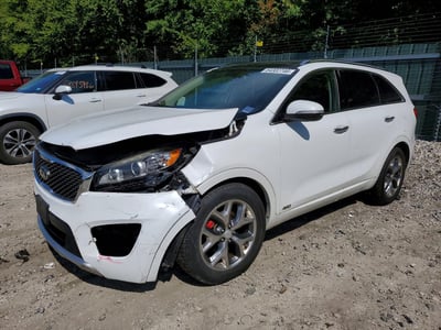 5XYPKDA54GG****** 2016 Kia Sorento