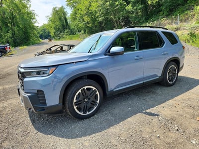 5FNYG1H79TB****** 2026 Honda Pilot