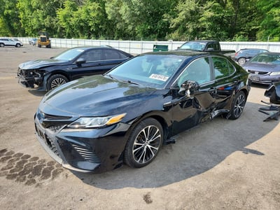 4T1B21HK8KU****** 2019 Toyota Camry