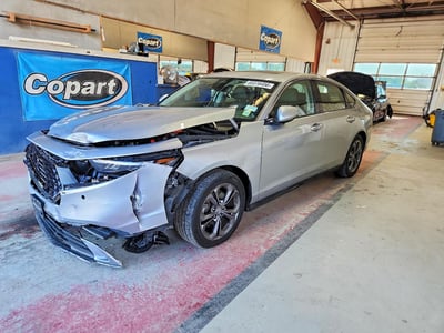 1HGCY2F63RA****** 2024 Honda Accord Hybrid