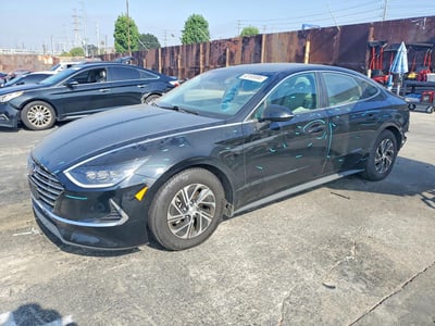 KMHL24JJ3PA****** 2023 Hyundai Sonata Hybrid