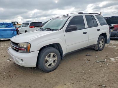1GNDT13S762****** 2006 Chevrolet Trailblazer