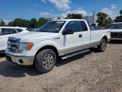 1FTFX1EF5DK****** 2013 Ford F-150