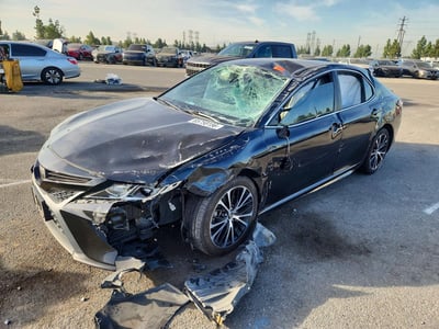 4T1B11HKXKU****** 2019 Toyota Camry