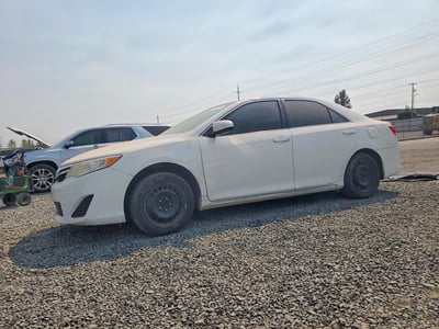 4T4BF1FK3DR****** 2013 Toyota Camry