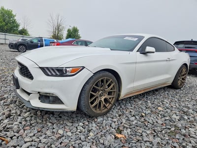 1FA6P8TH1F5****** 2015 Ford Mustang