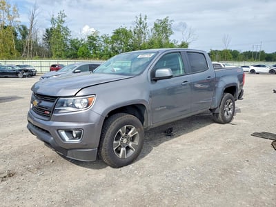 1GCGTDEN8J1****** 2018 Chevrolet Colorado