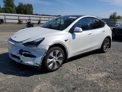 7SAYGDEE9PF****** 2023 Tesla Model Y
