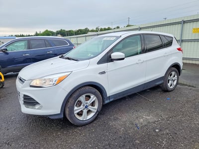 1FMCU0GX7FU****** 2015 Ford Escape