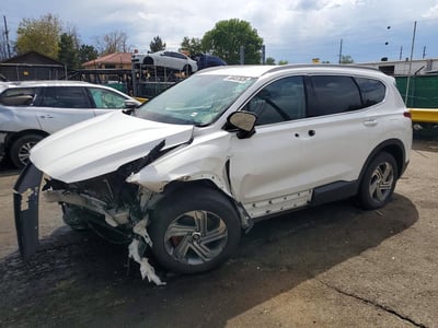 5NMS2DAJ3PH****** 2023 Hyundai Santa Fe
