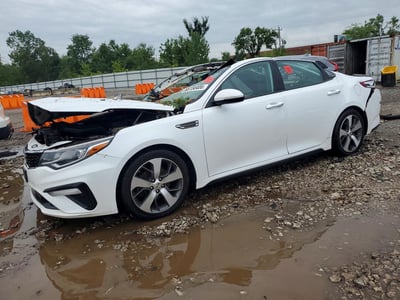 5XXGT4L32KG****** 2019 Kia Optima