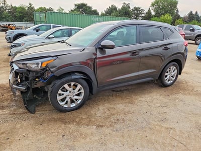 KM8J3CA41KU****** 2019 Hyundai Tucson