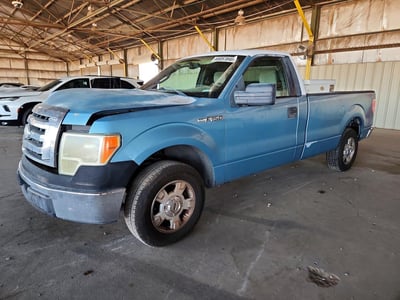 1FTRF12899K****** 2009 Ford F-150