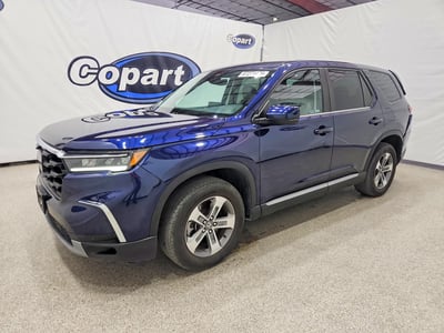 5FNYG2H56RB****** 2024 Honda Pilot