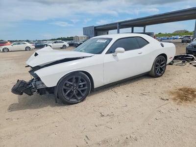 2C3CDZJG9KH****** 2019 Dodge Challenger