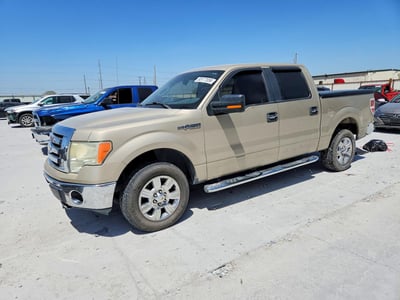 1FTRW12829F****** 2009 Ford F-150