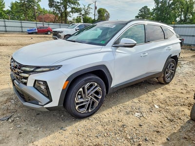 KM8JEDD1XSU****** 2025 Hyundai Tucson Hybrid