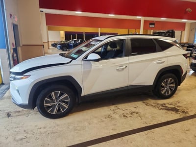KM8JBCD10RU****** 2024 Hyundai Tucson Hybrid